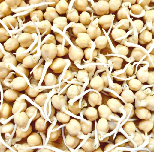 Nutritional value of chickpea sprouts