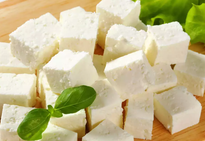 homemade paneer and its dishes